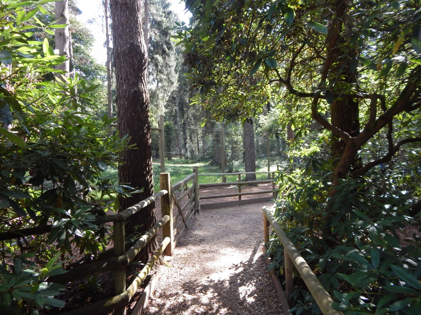 View towards Mackenzie Valley wolf habitat 130924