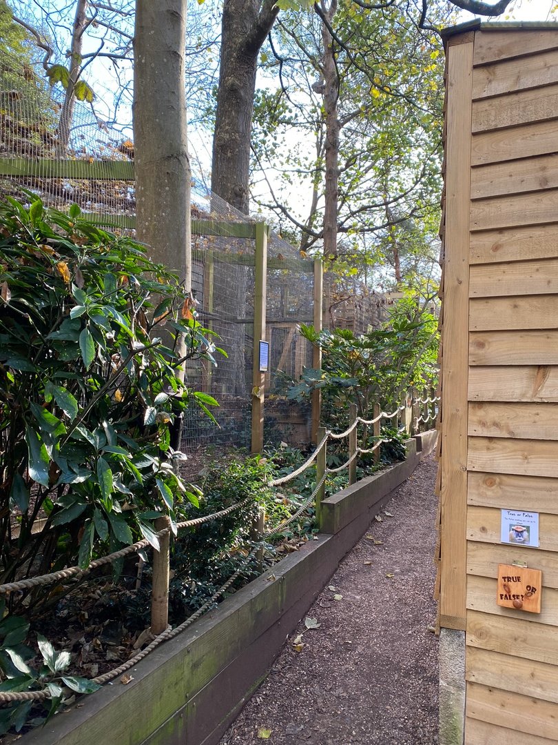 View towards Margay enclosure 111222