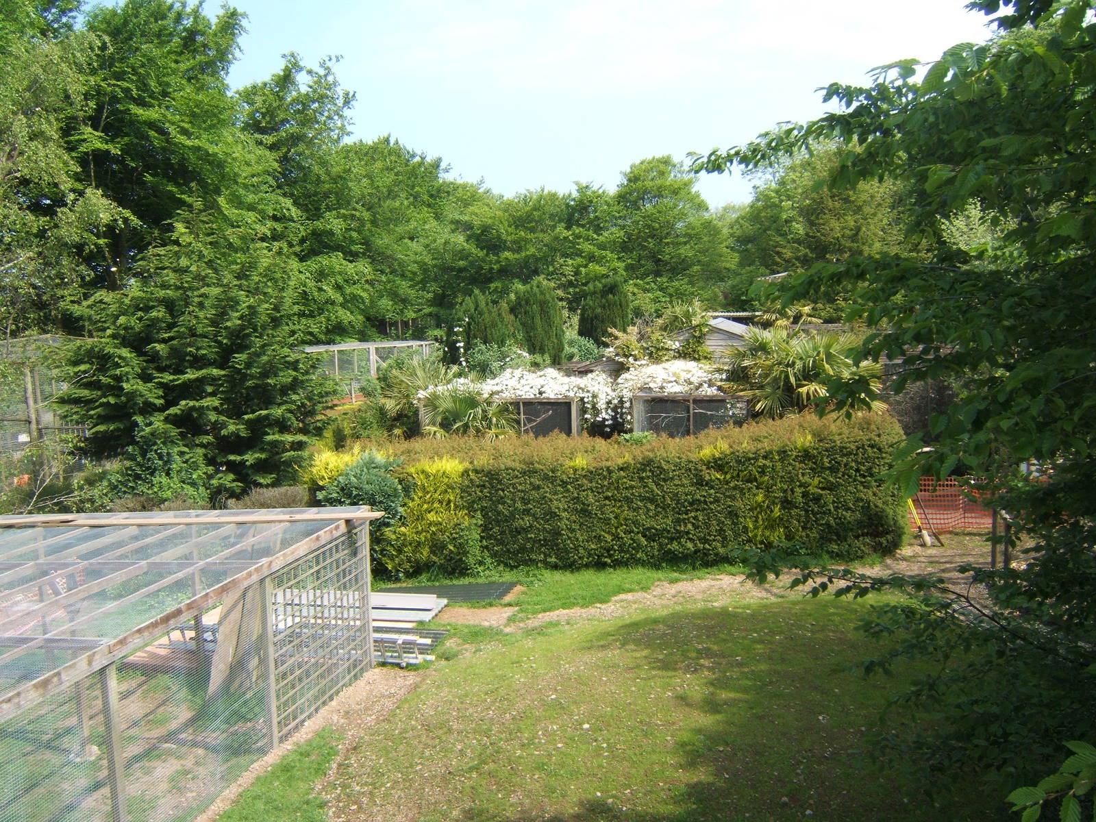 View towards Marmoset and Tamarin House