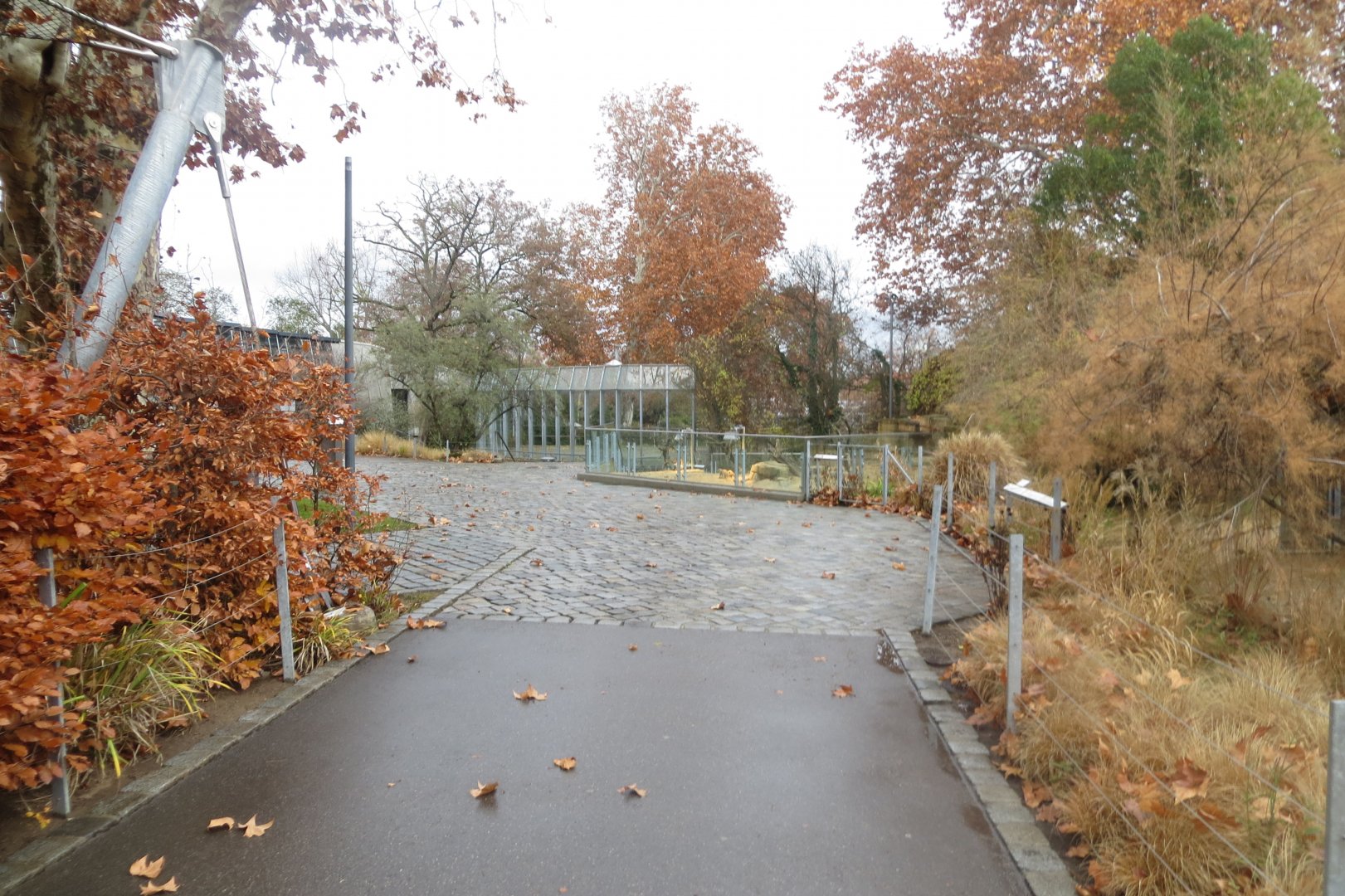 View towards Meerkat enclosure 031218