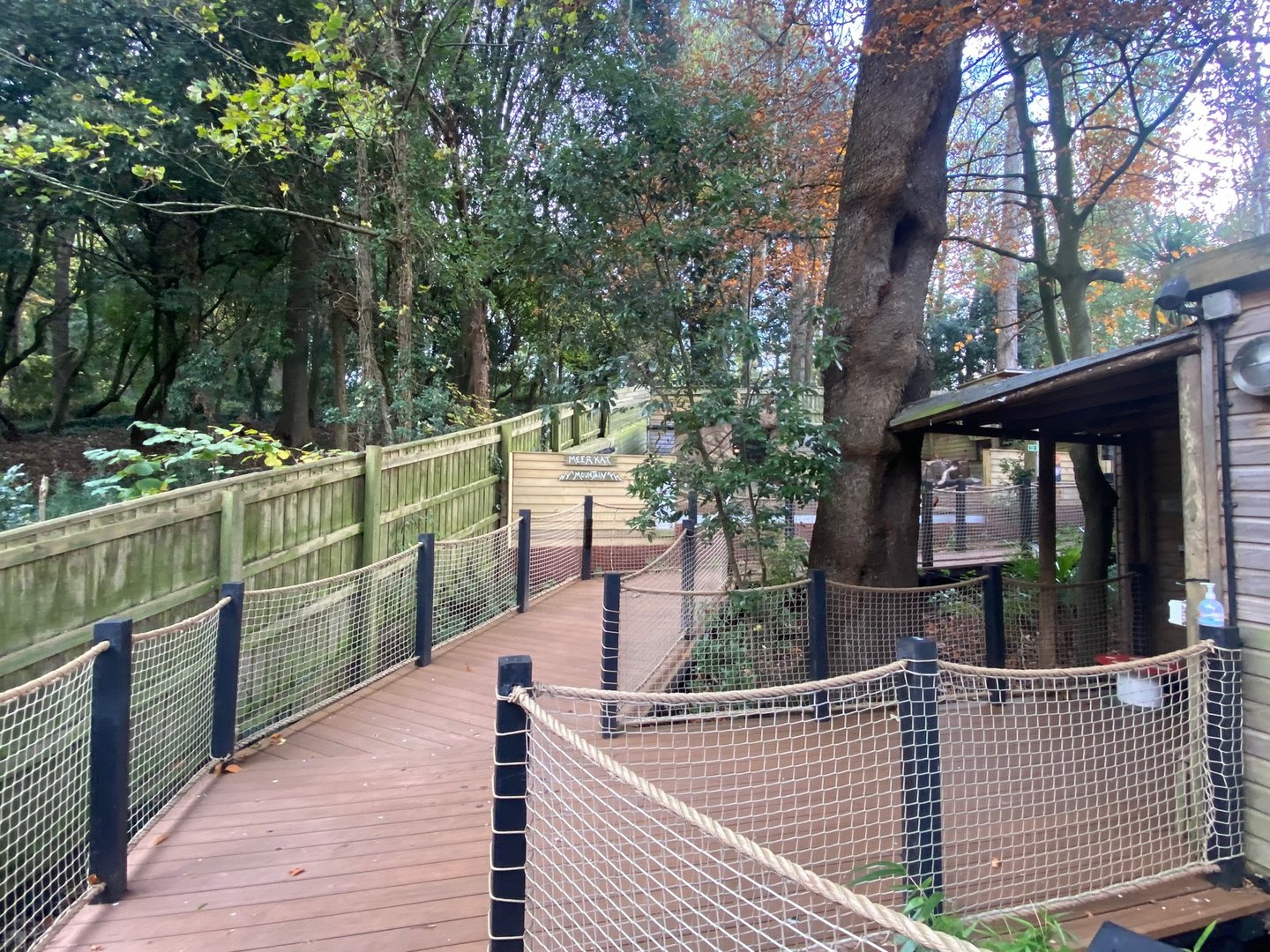 View towards Meerkat enclosure 111222