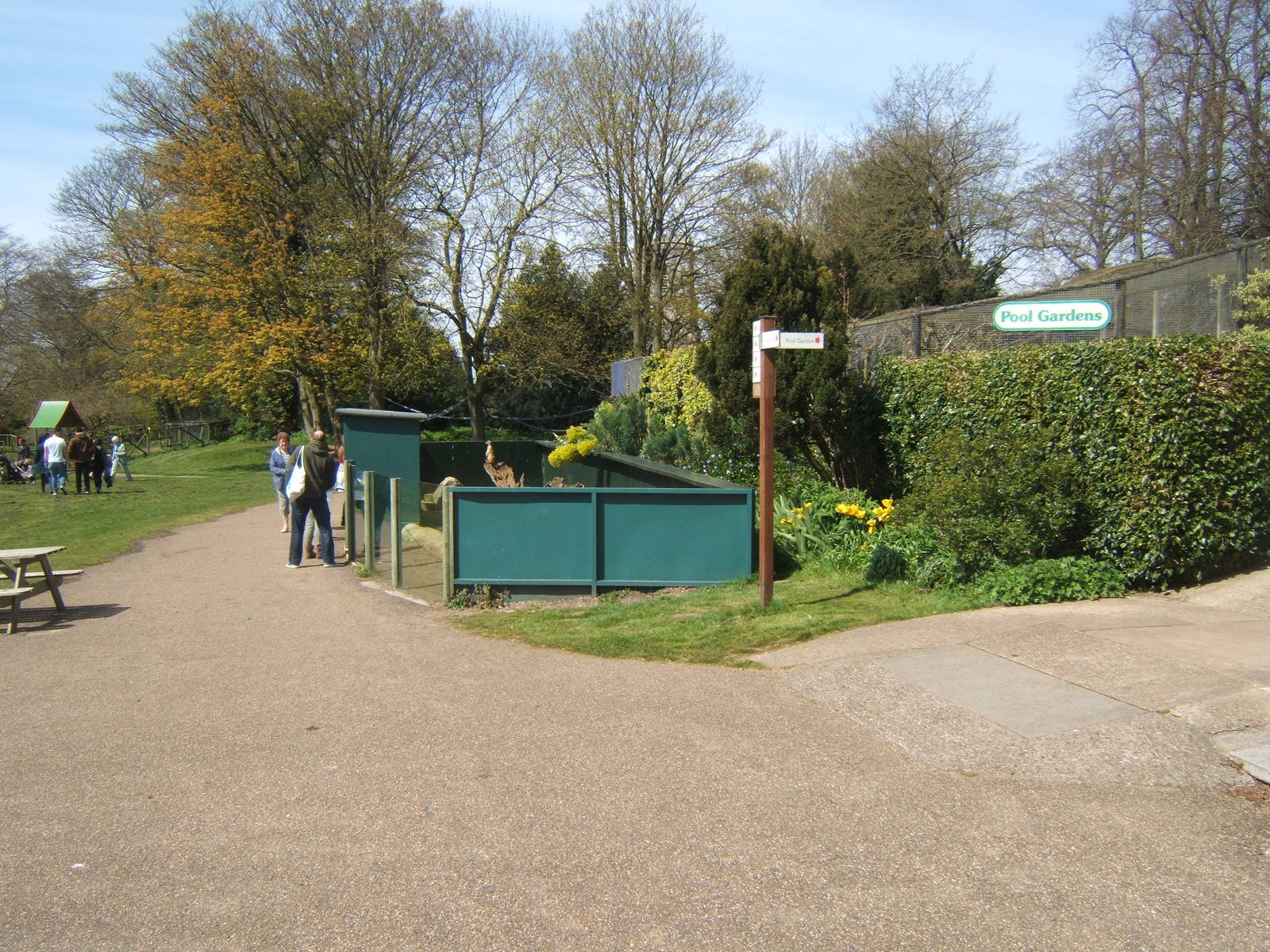 View towards Meerkat enclosure