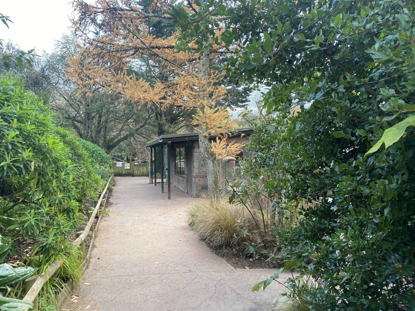 View towards Meerkat exhibit 201121