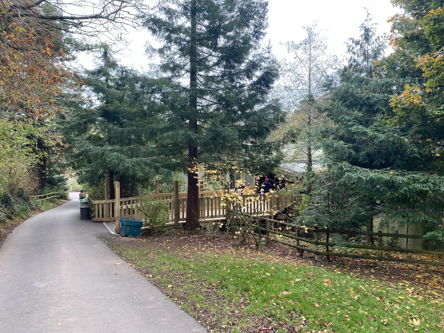 View towards Monkey Heights 201121