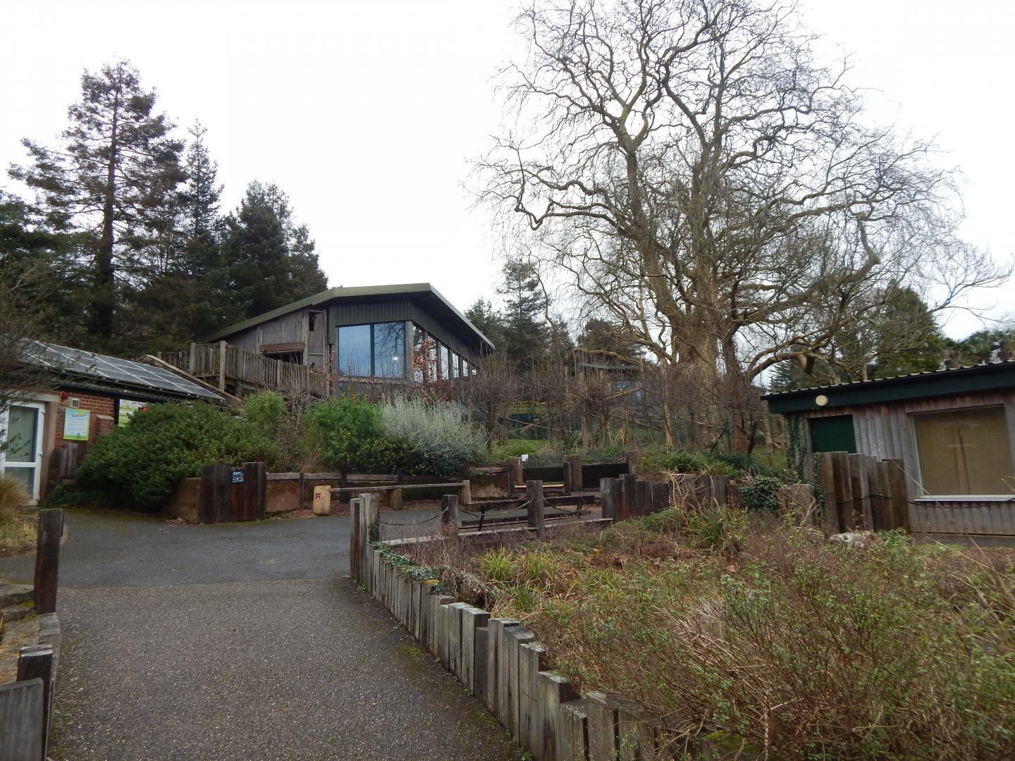 View towards Monkey Heights from exit of Amphibian Ark 050224
