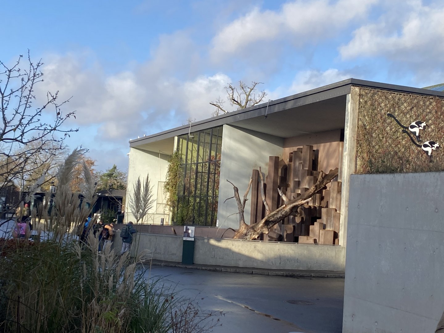 View towards Monkey House outdoor habitats 261124