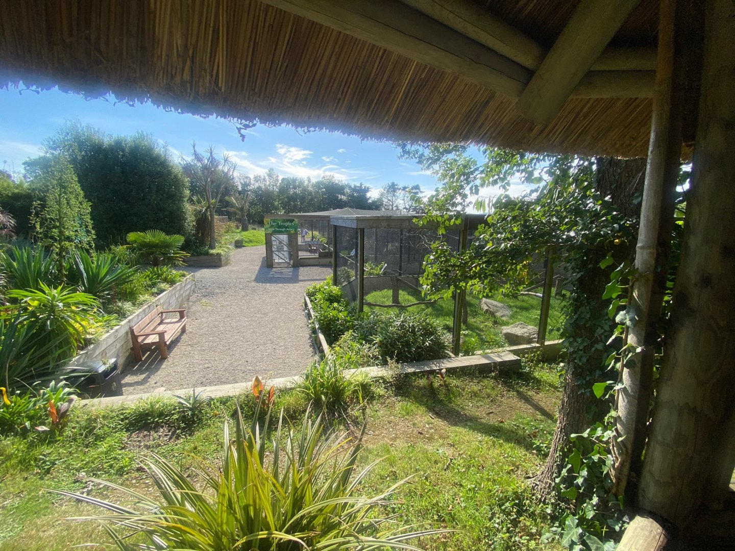 View towards newer aviary complex 081023