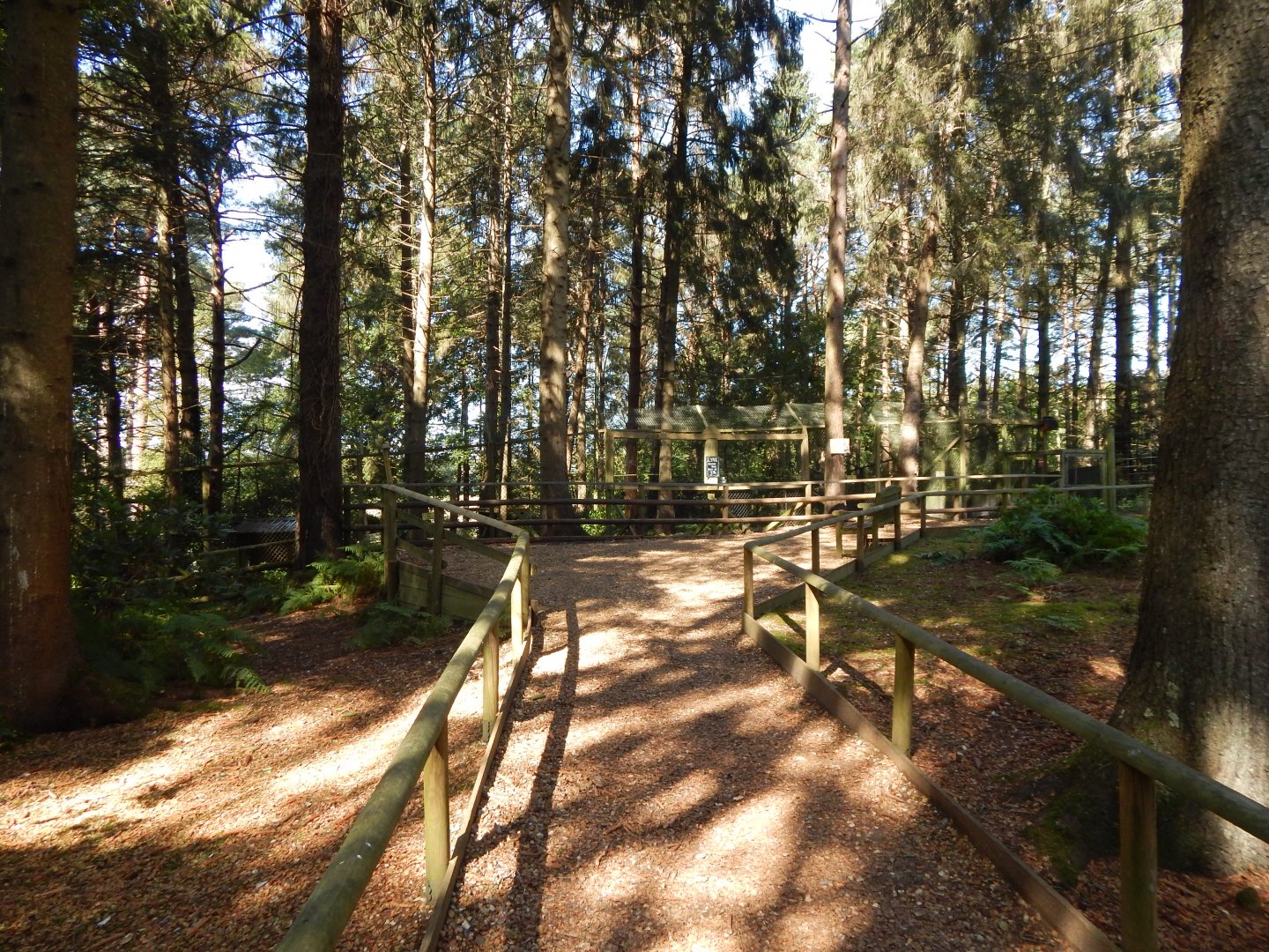 View towards Northern lynx habitat 130924