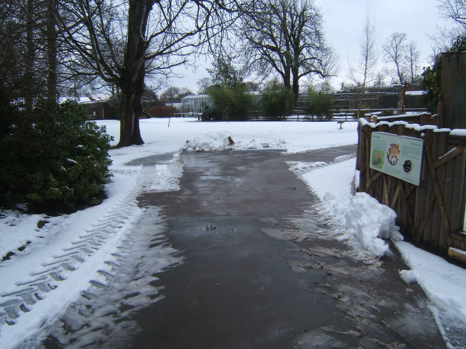 View towards off-show Parrot complex