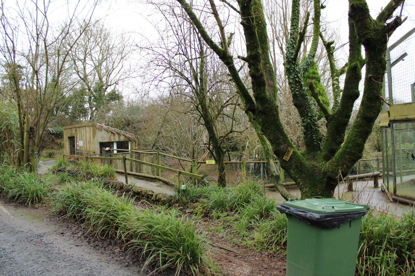 View Towards old Red Panda Enclosure
