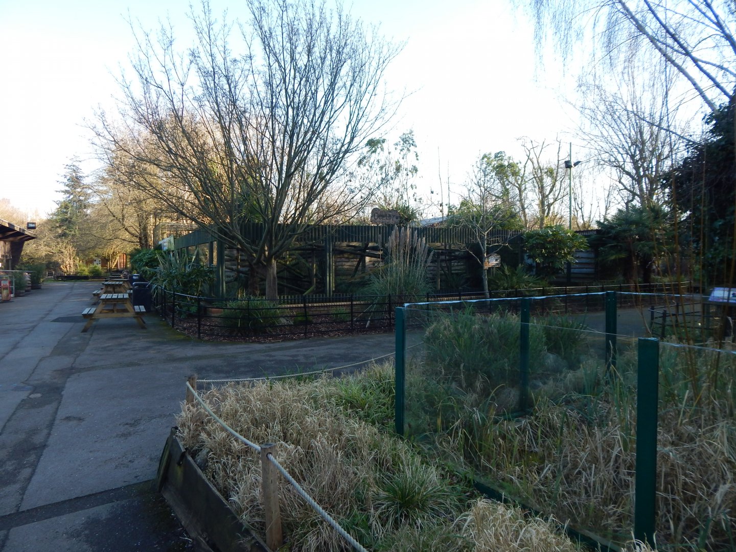 View towards one of the Ocelot enclosure 260124
