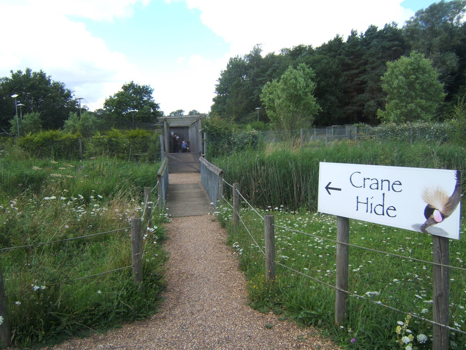 View towards one ofthe captive Crane viewing hides