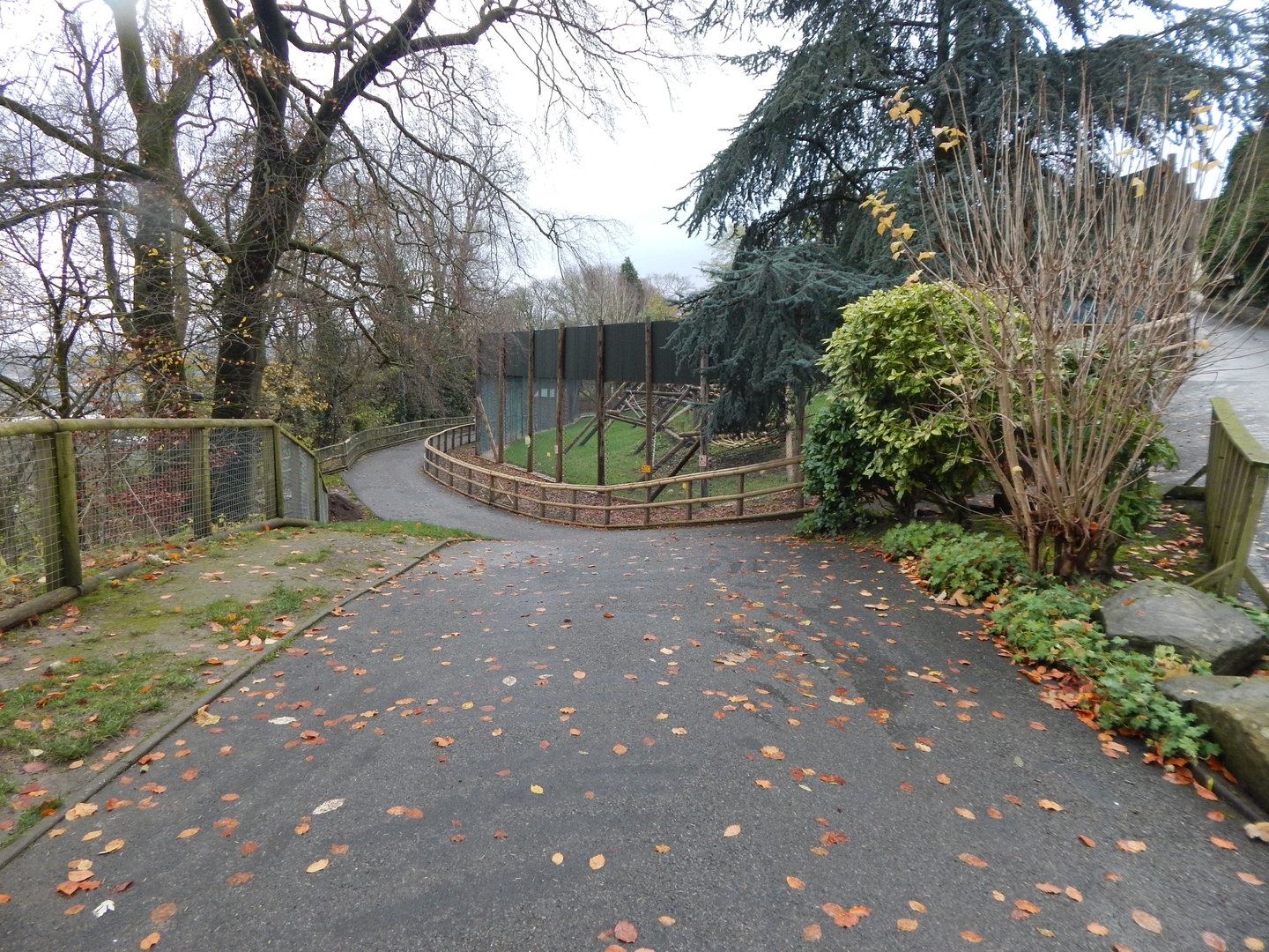 View towards Orangutan enclosure 241122
