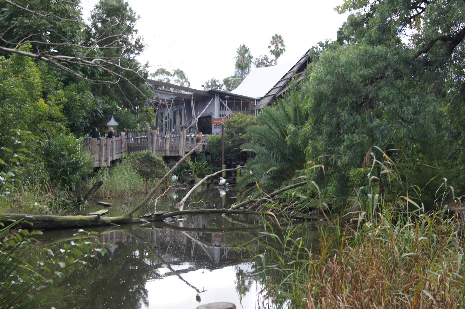 View towards Orangutan Sanctuary