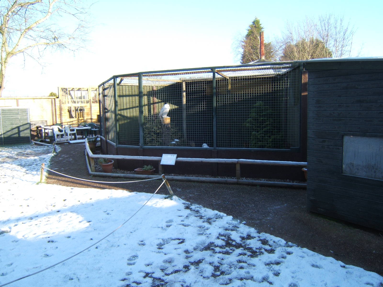 View towards Owl aviarys