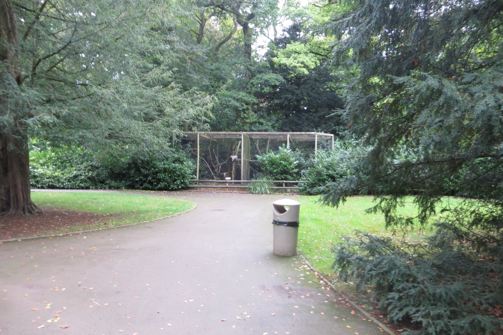 View towards Pallas' cat enclosure 071019
