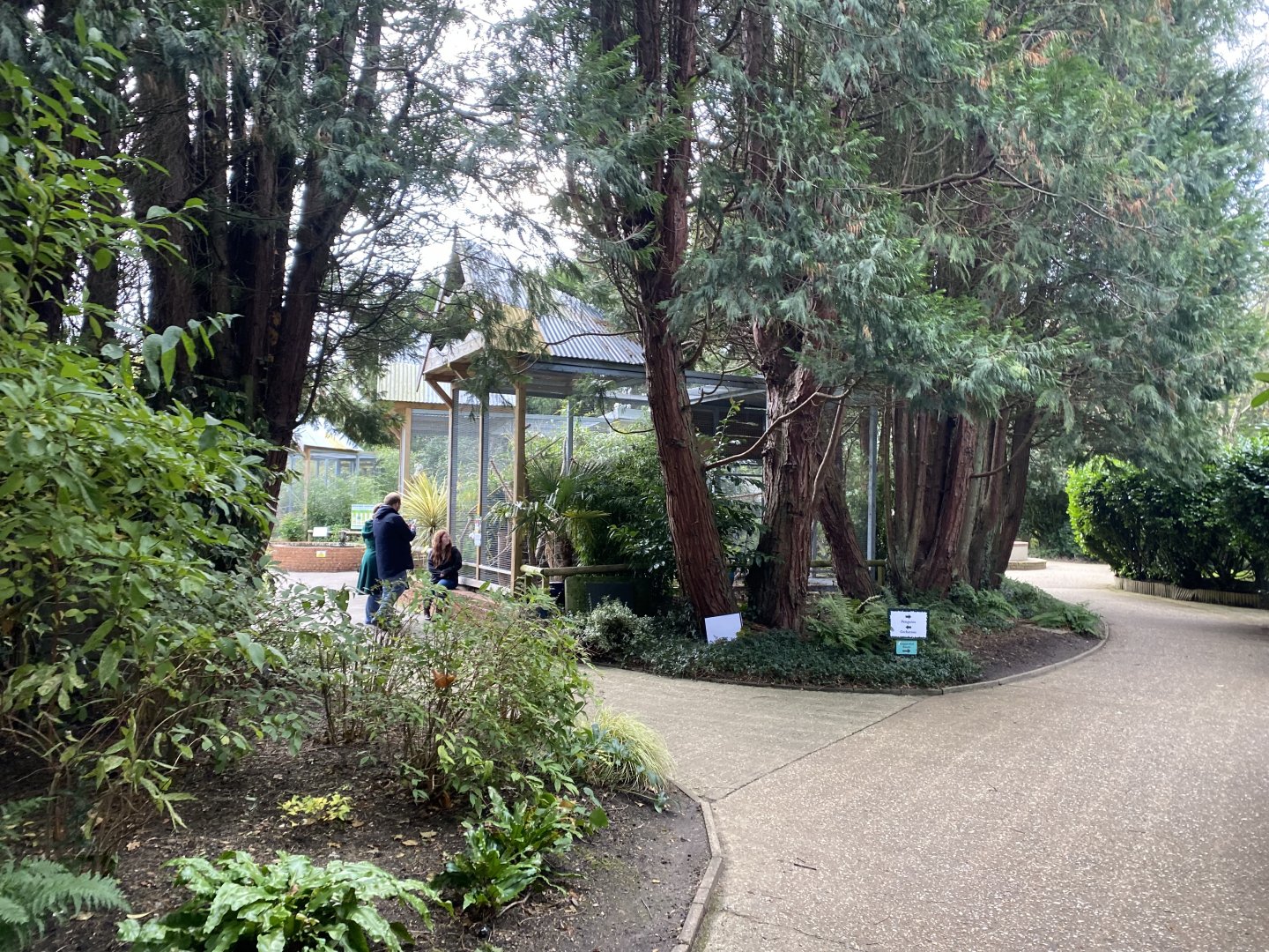 View towards parrot aviaries 061121
