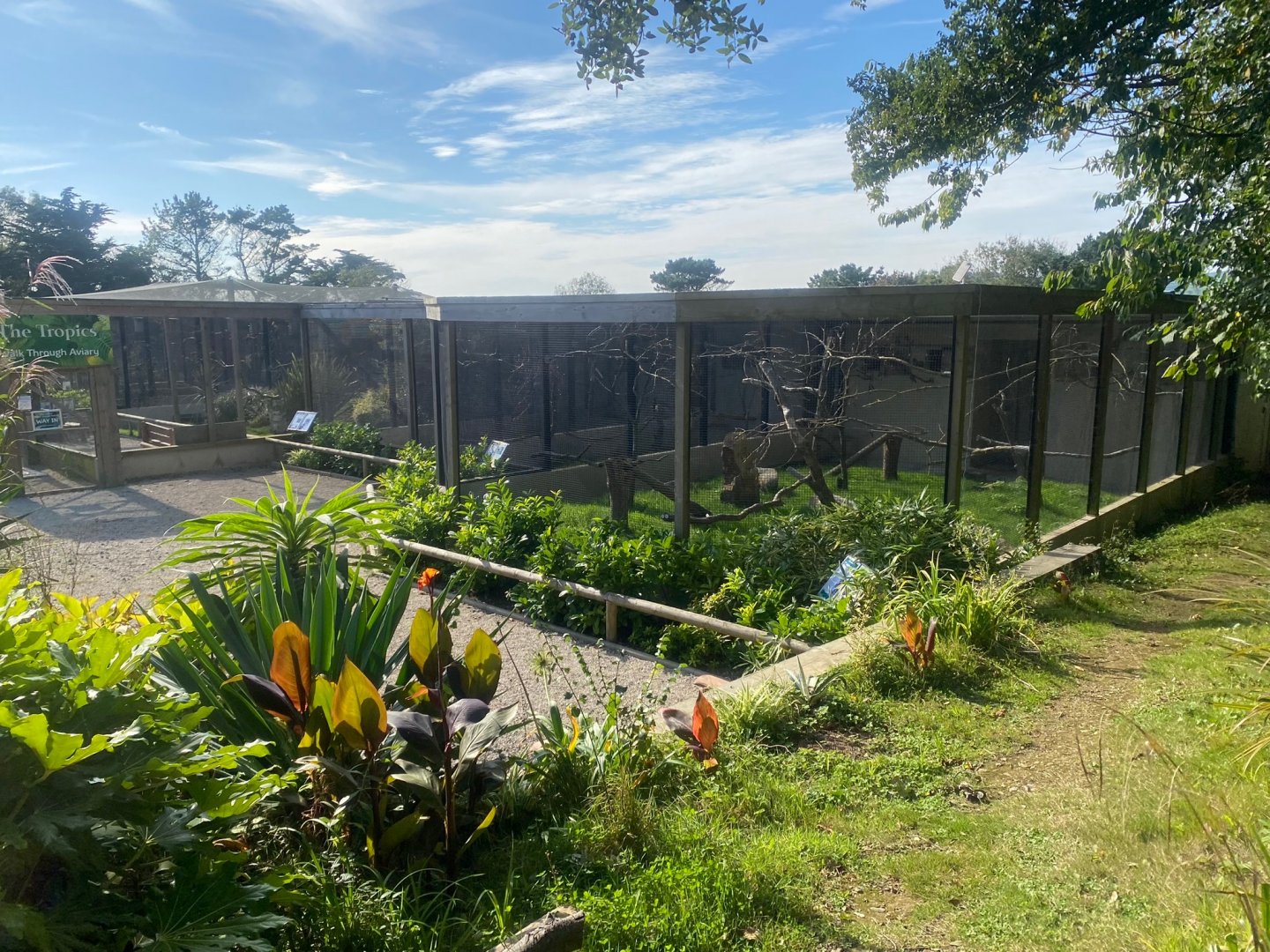 View towards Pesquet’s parrot aviary 081023