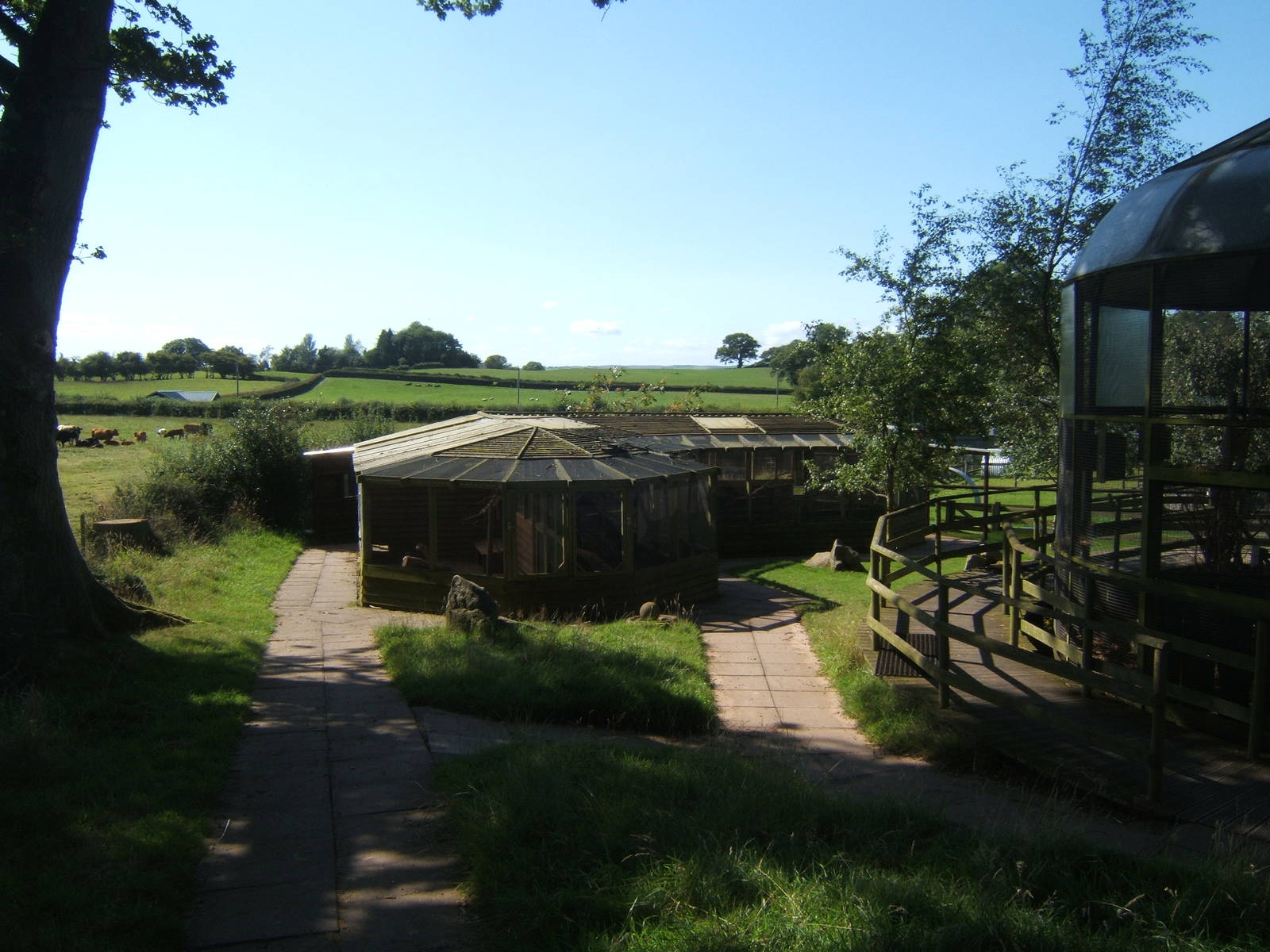 View towards pheasant aviarys