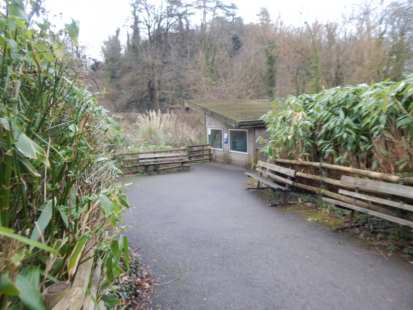 View towards Pied tamarin enclosure 050224