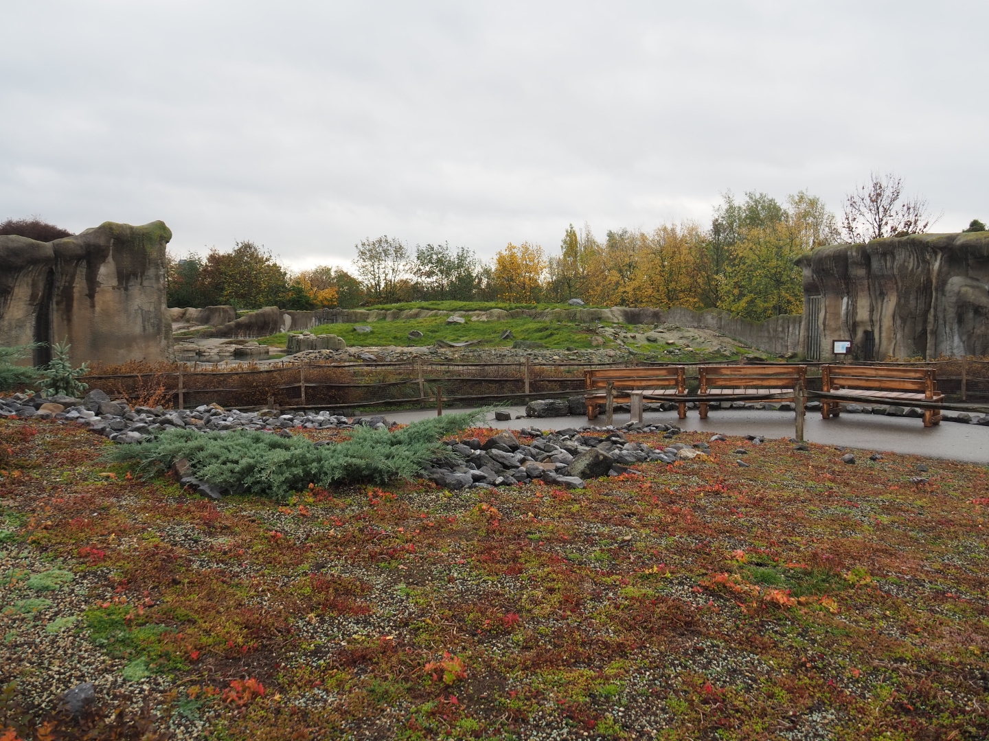 View towards polar bear exhibits (Nov 10th, 2018)