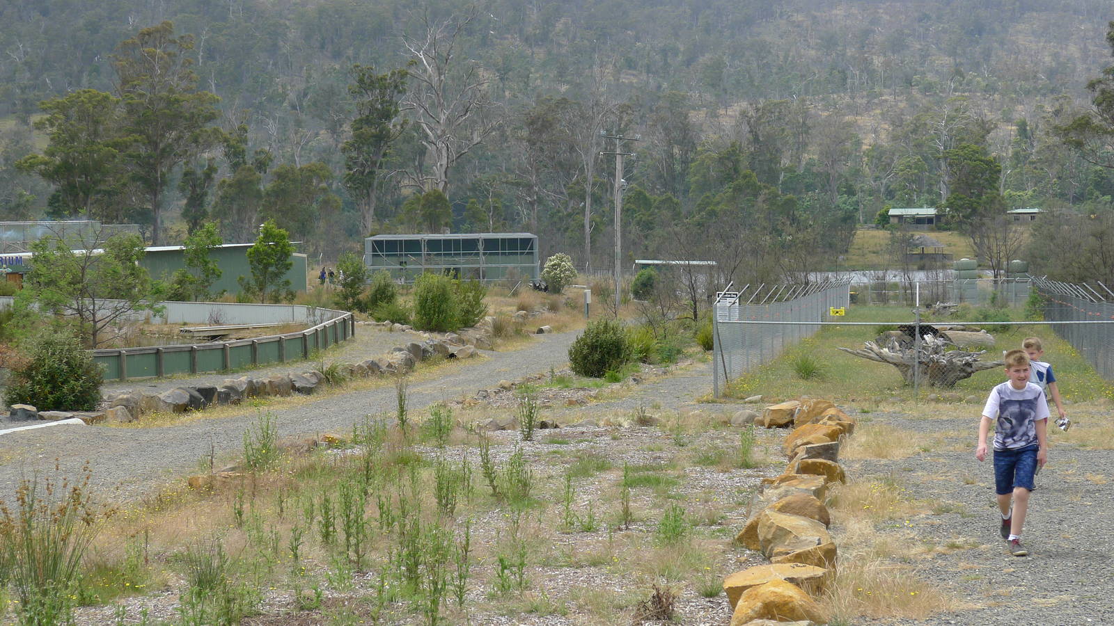 View towards primates and dingos