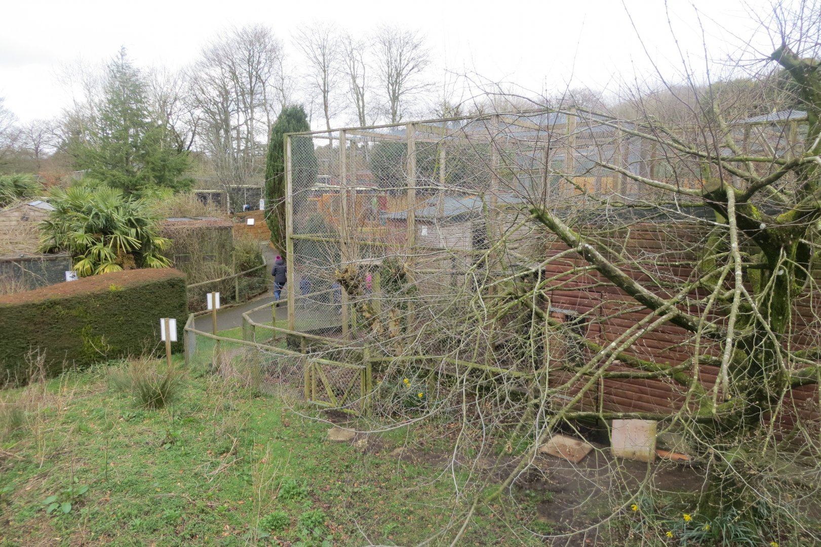View towards Puma enclosure 040319