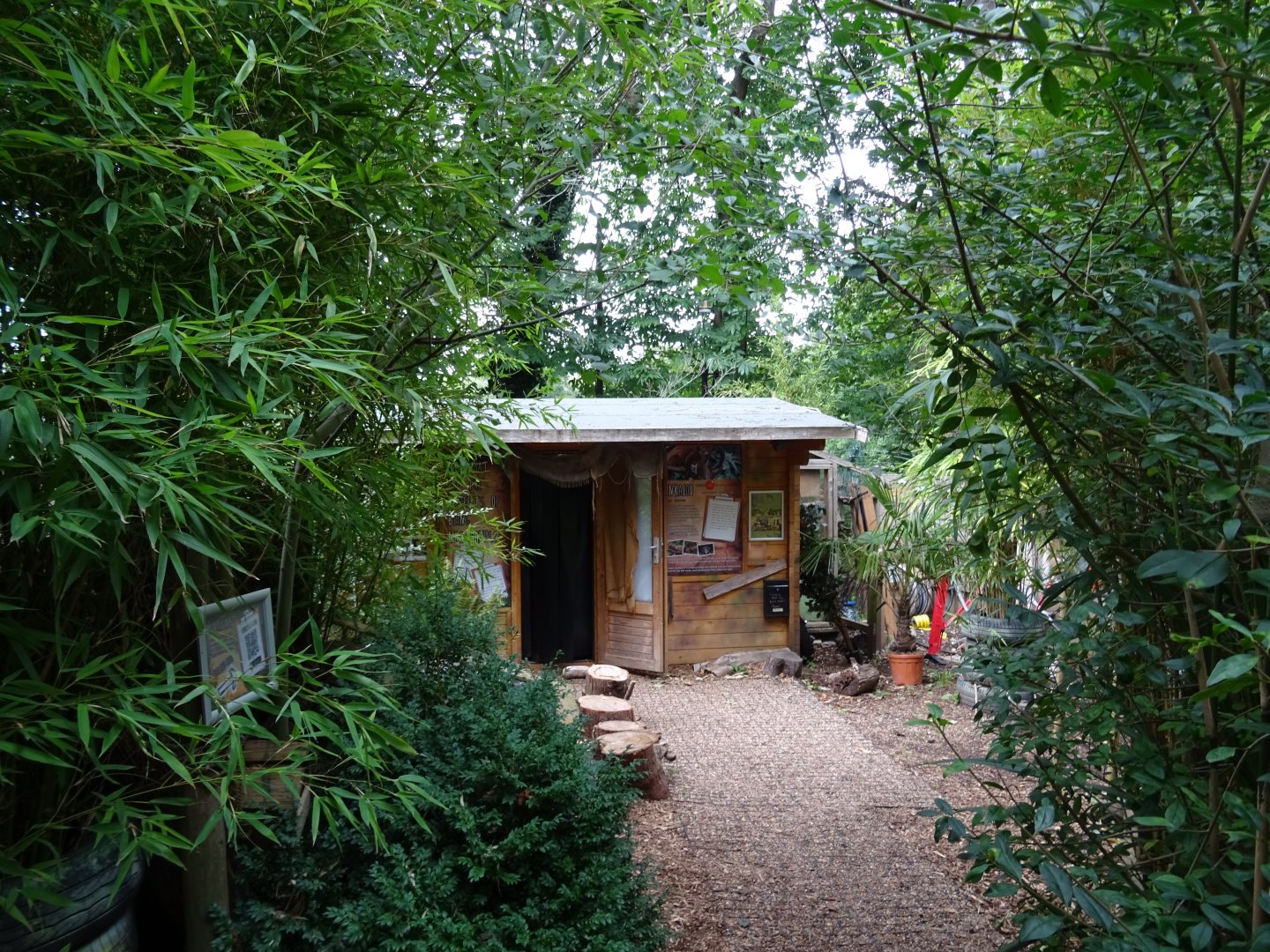 View towards Pygmy Slow Loris / Kinkajou House