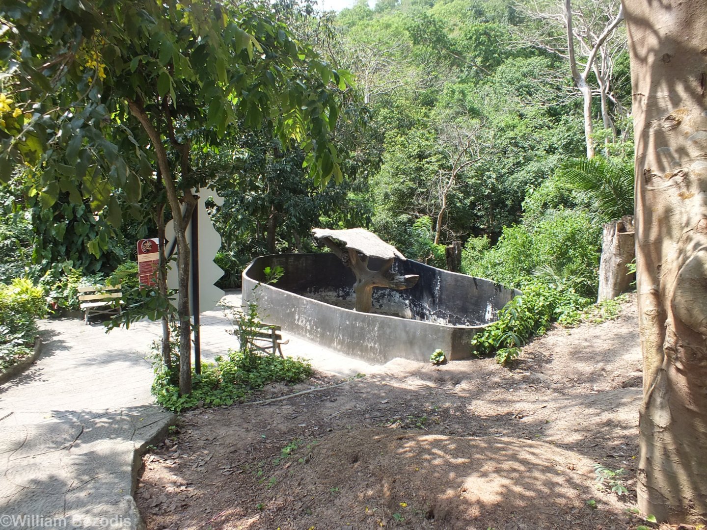 View towards Python Enclosure