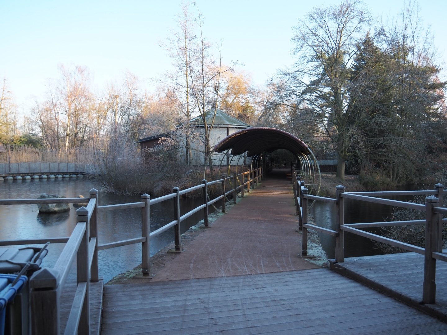 View towards Queensland koala house (Jan 20th, 2019)