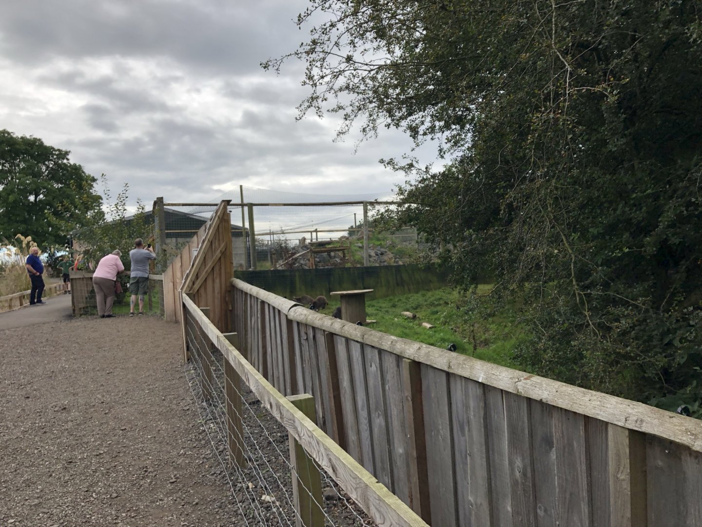 View Towards Raccoon and Snow Leopard Enclosures at Northumberland Country Zoo (September 2021)