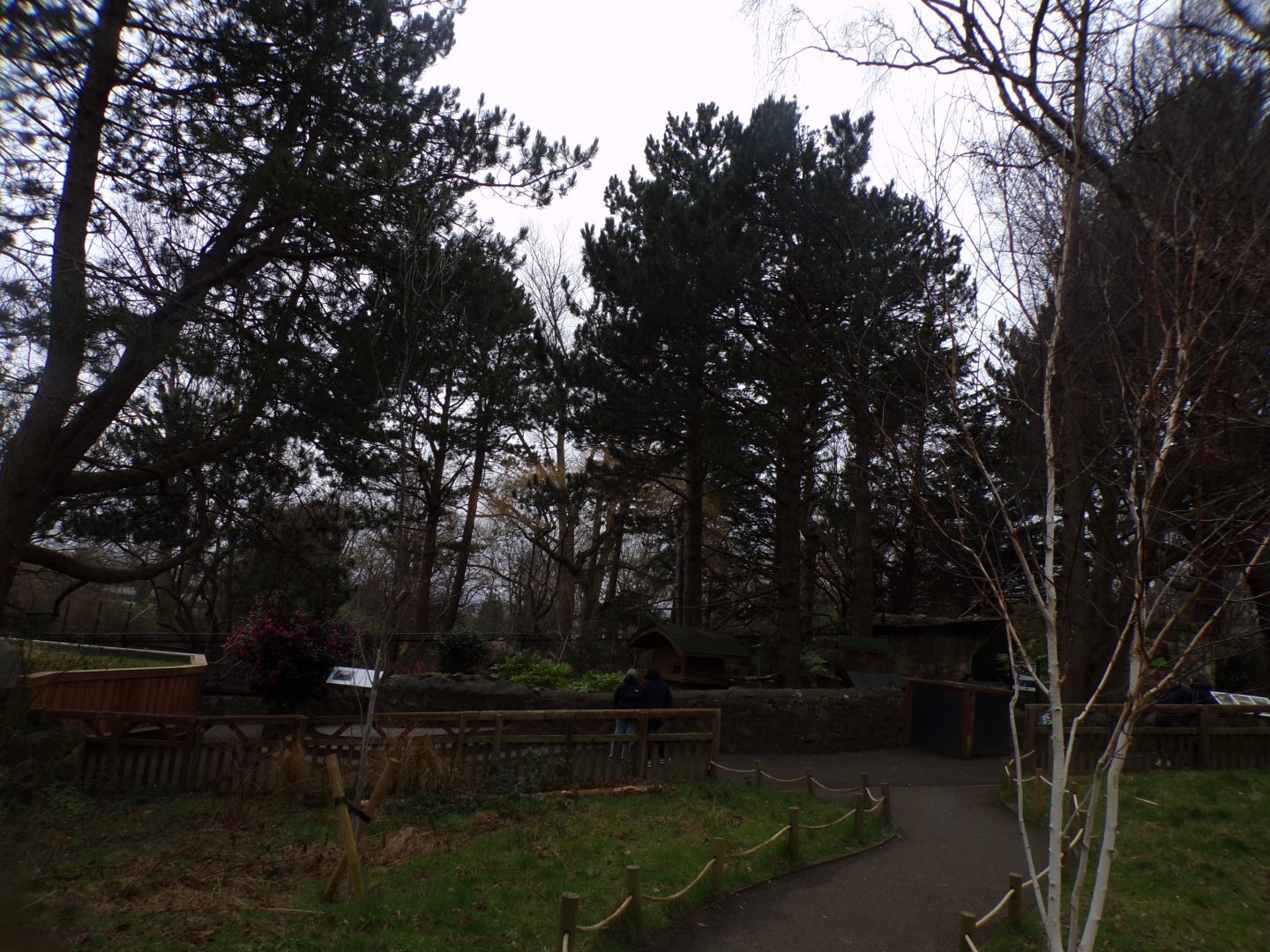 View towards red panda enclosure 1.3.25