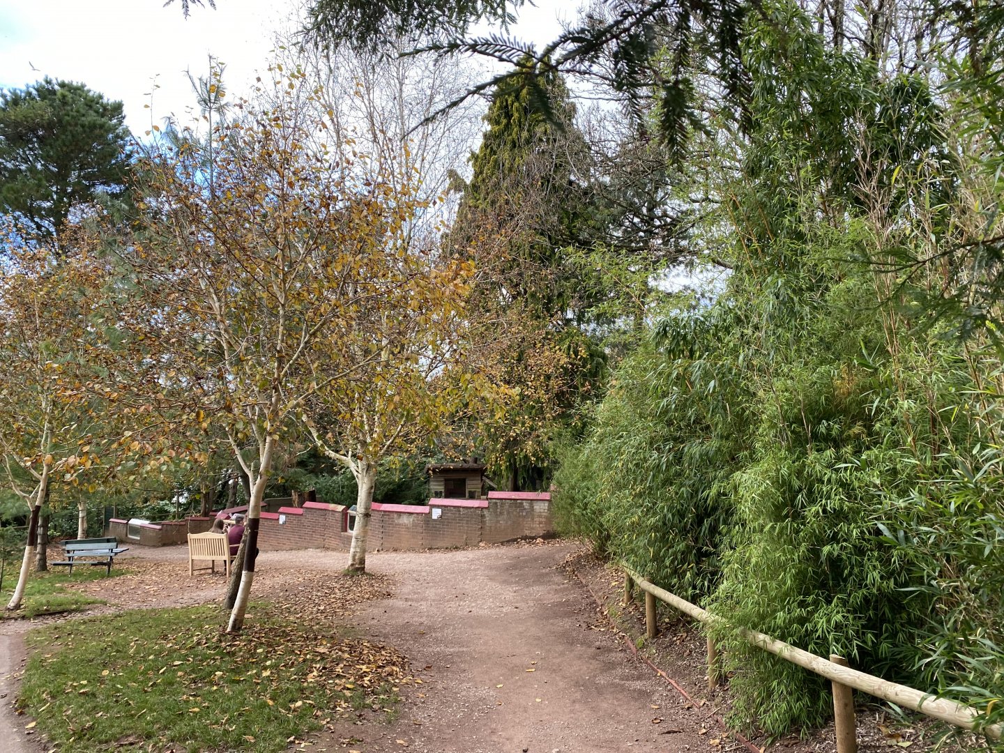View towards Red panda enclosure 201121