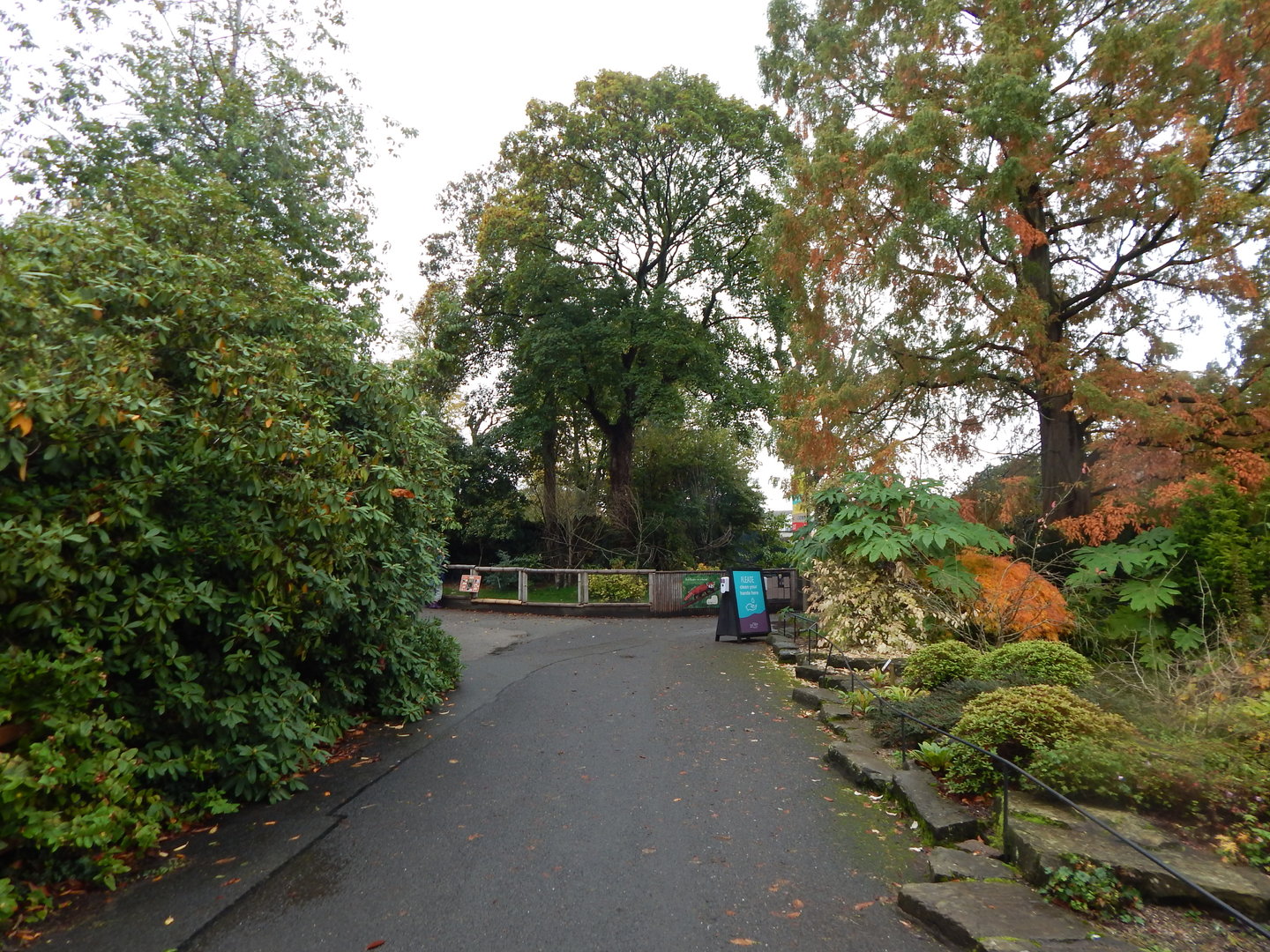 View towards Red panda enclosure 221022
