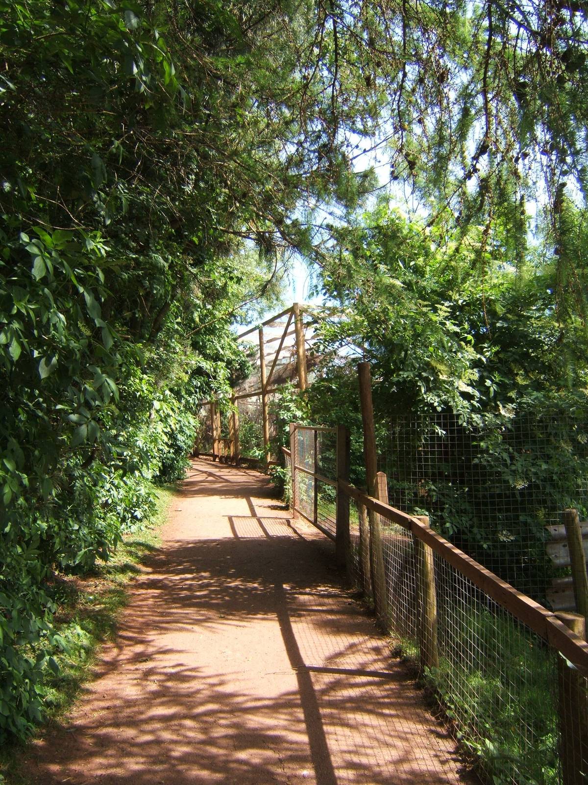View towards Red Squirrel exhibit