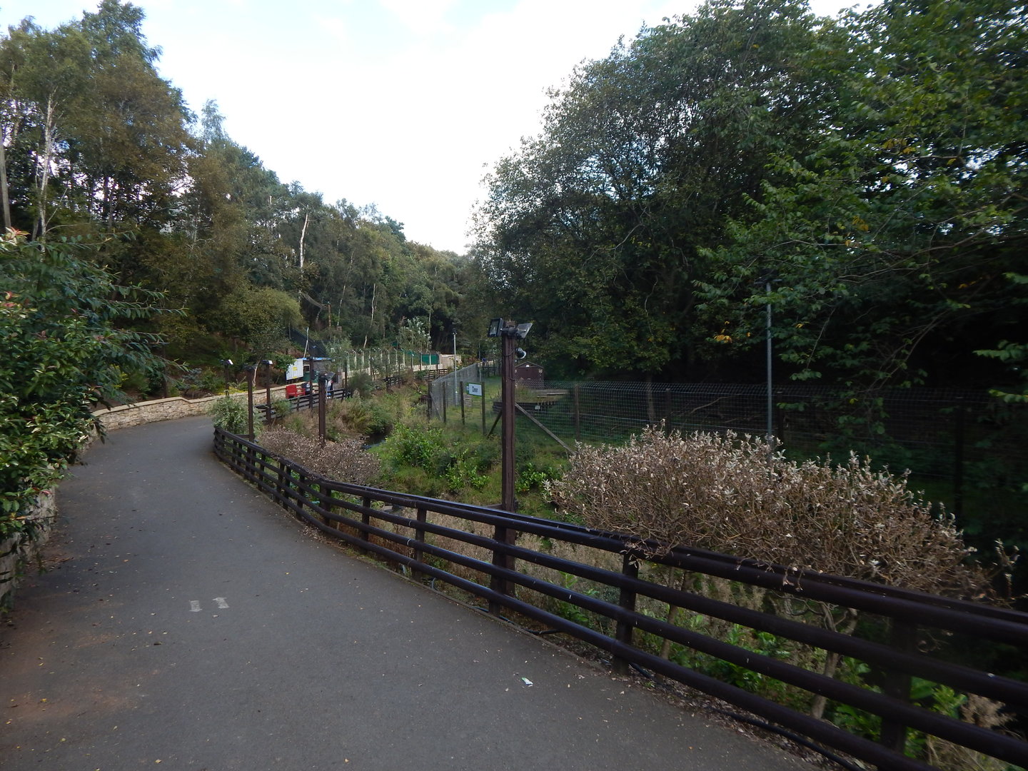 View towards Reeves' muntjac enclosure 200922