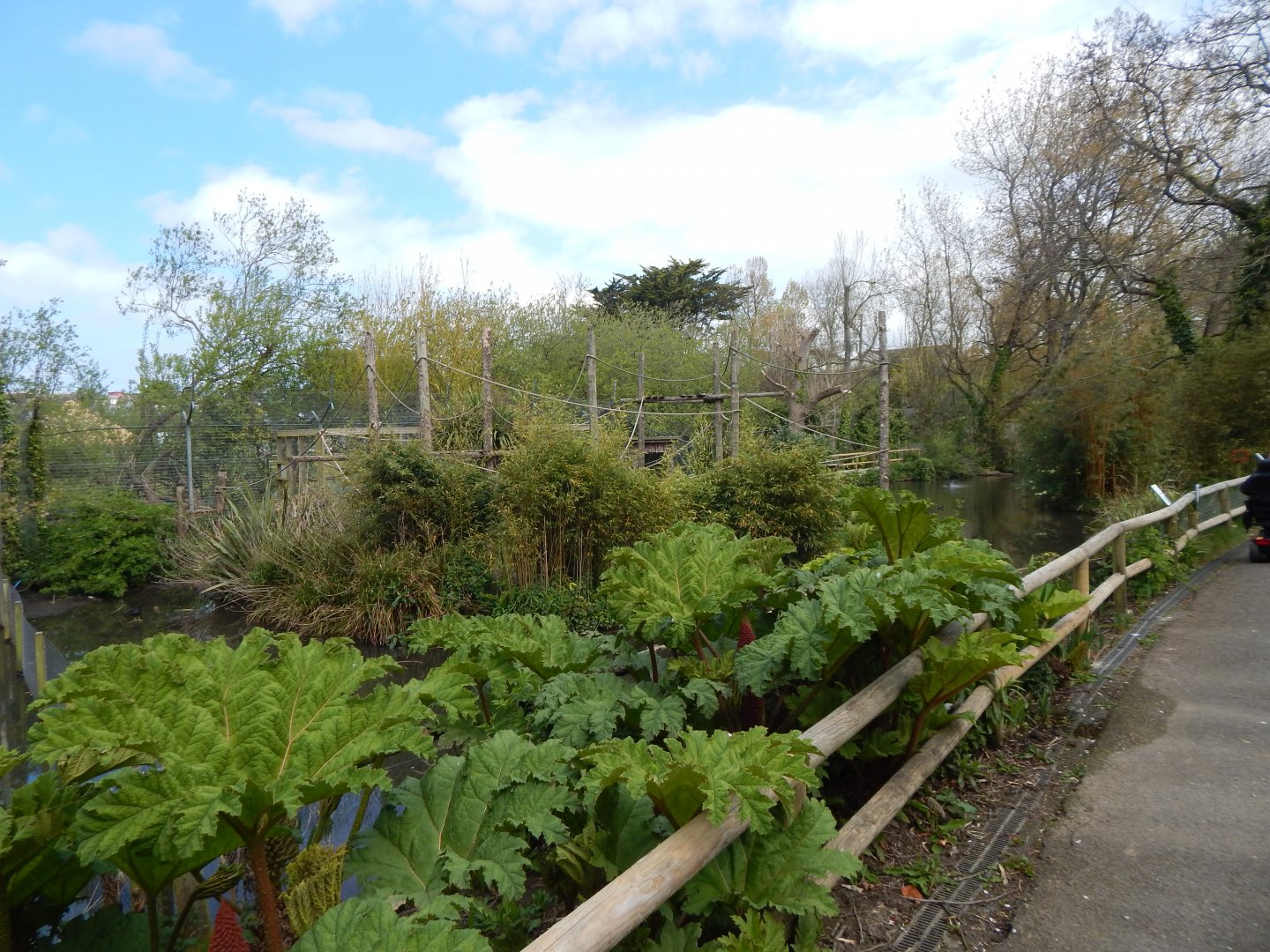 View towards Ring-tailed lemur island 240424