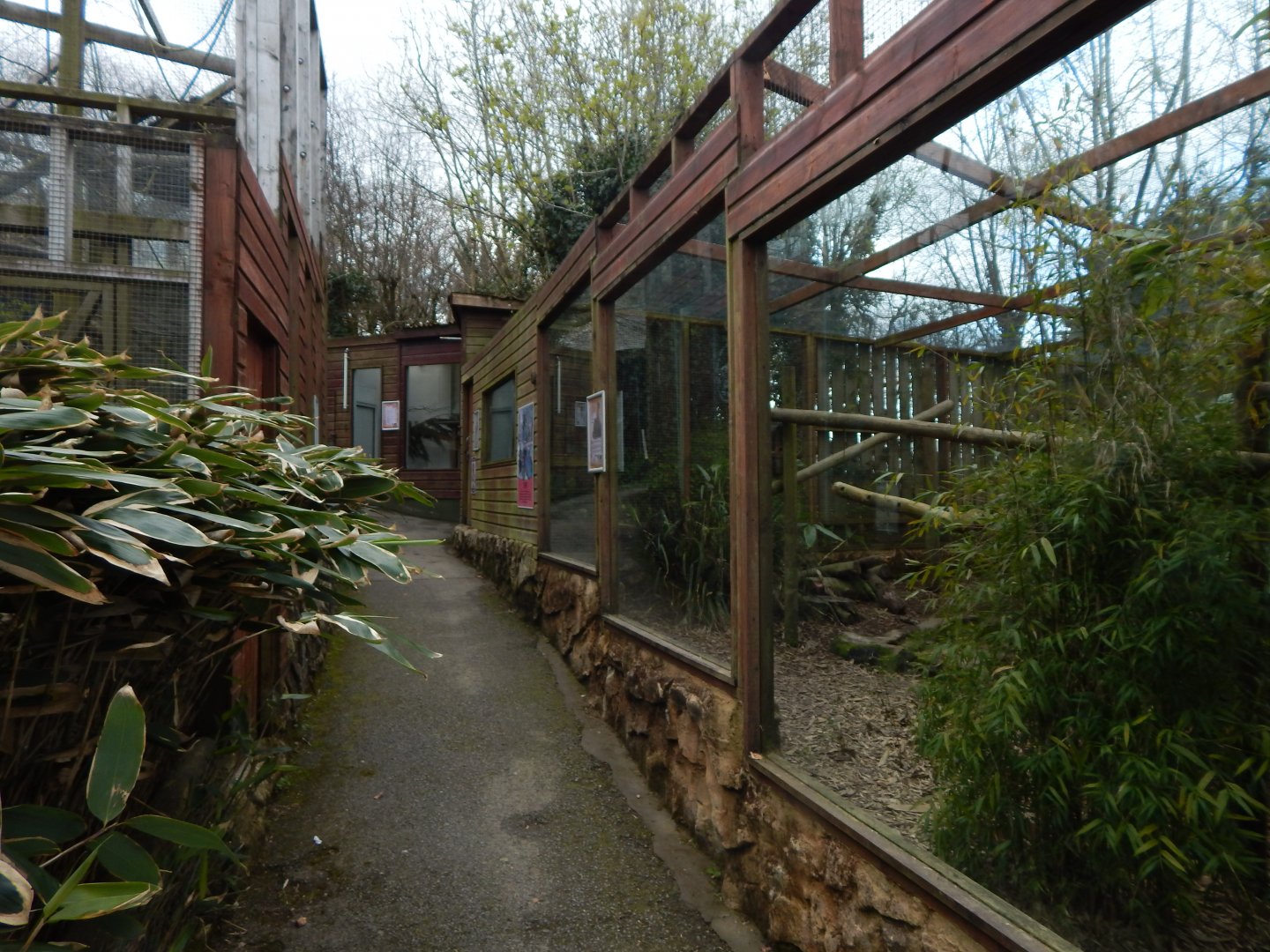 View towards Ringtail and Yellow-throated marten enclosure 140421