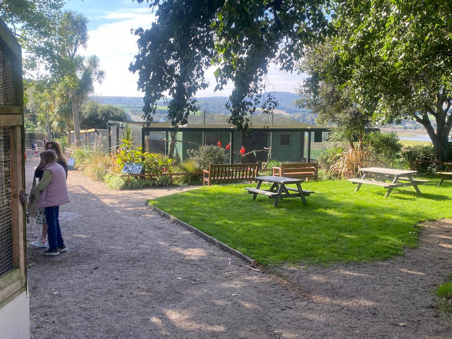 View towards Scarlet Ibis aviary 081023