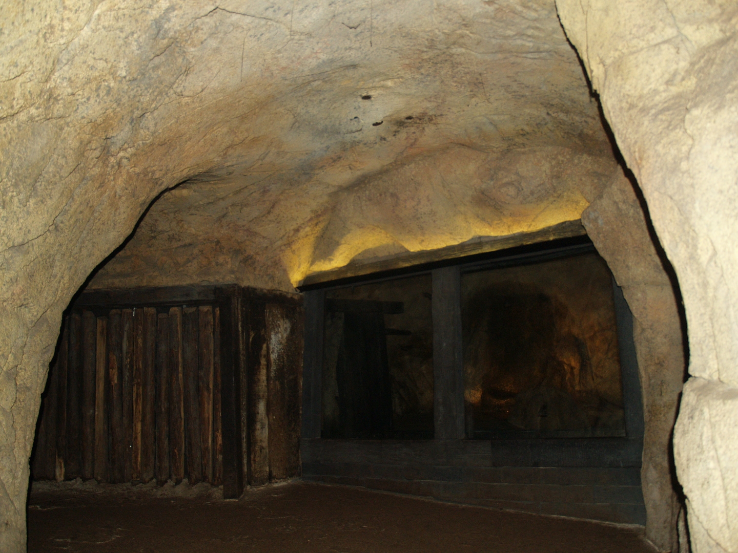 View towards Seba's short-tailed bat cave [2012]