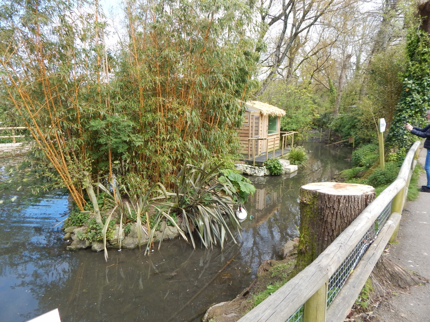 View towards Silvery marmoset exhibit 240424