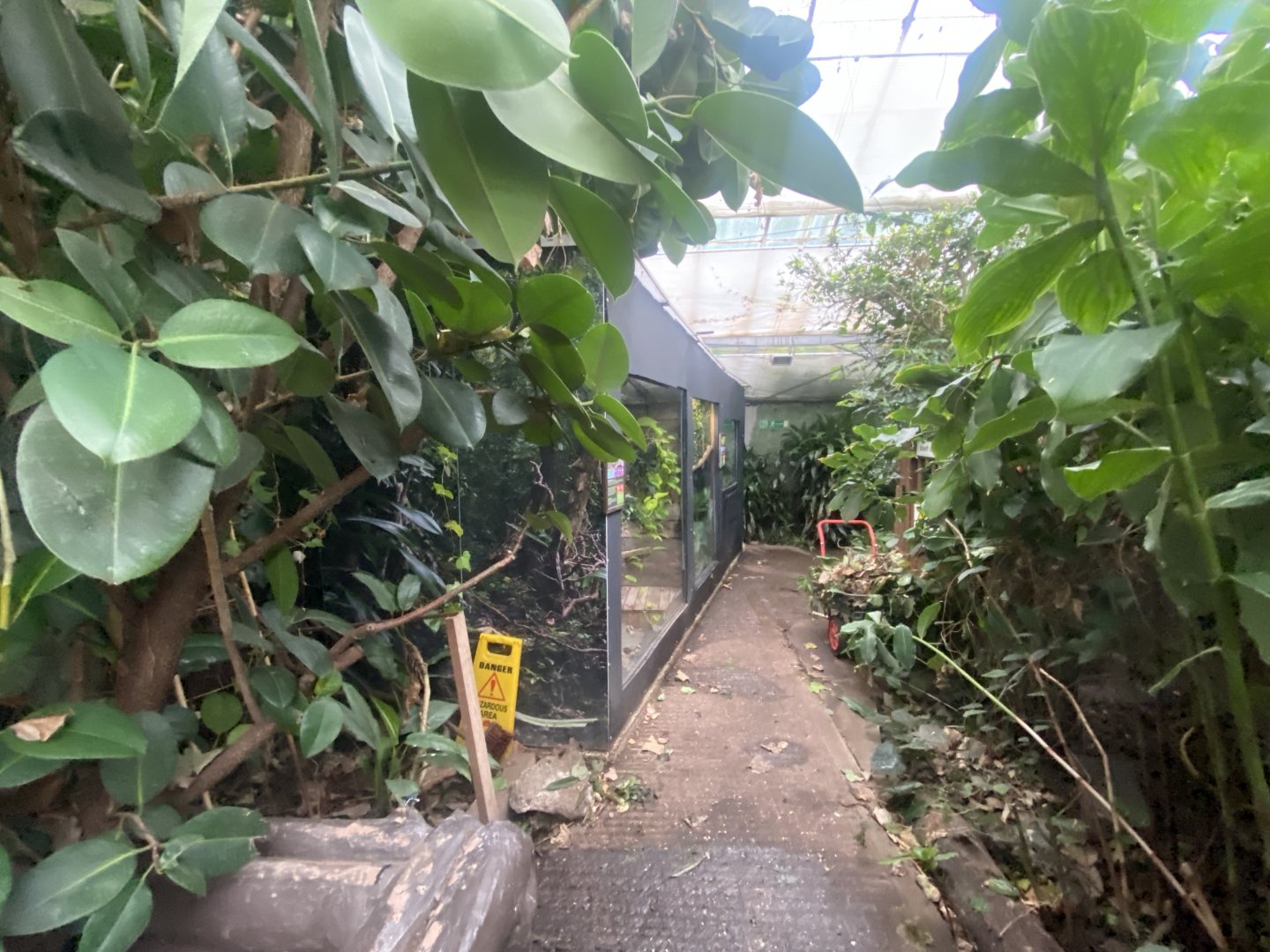 View towards snake exhibits 050924