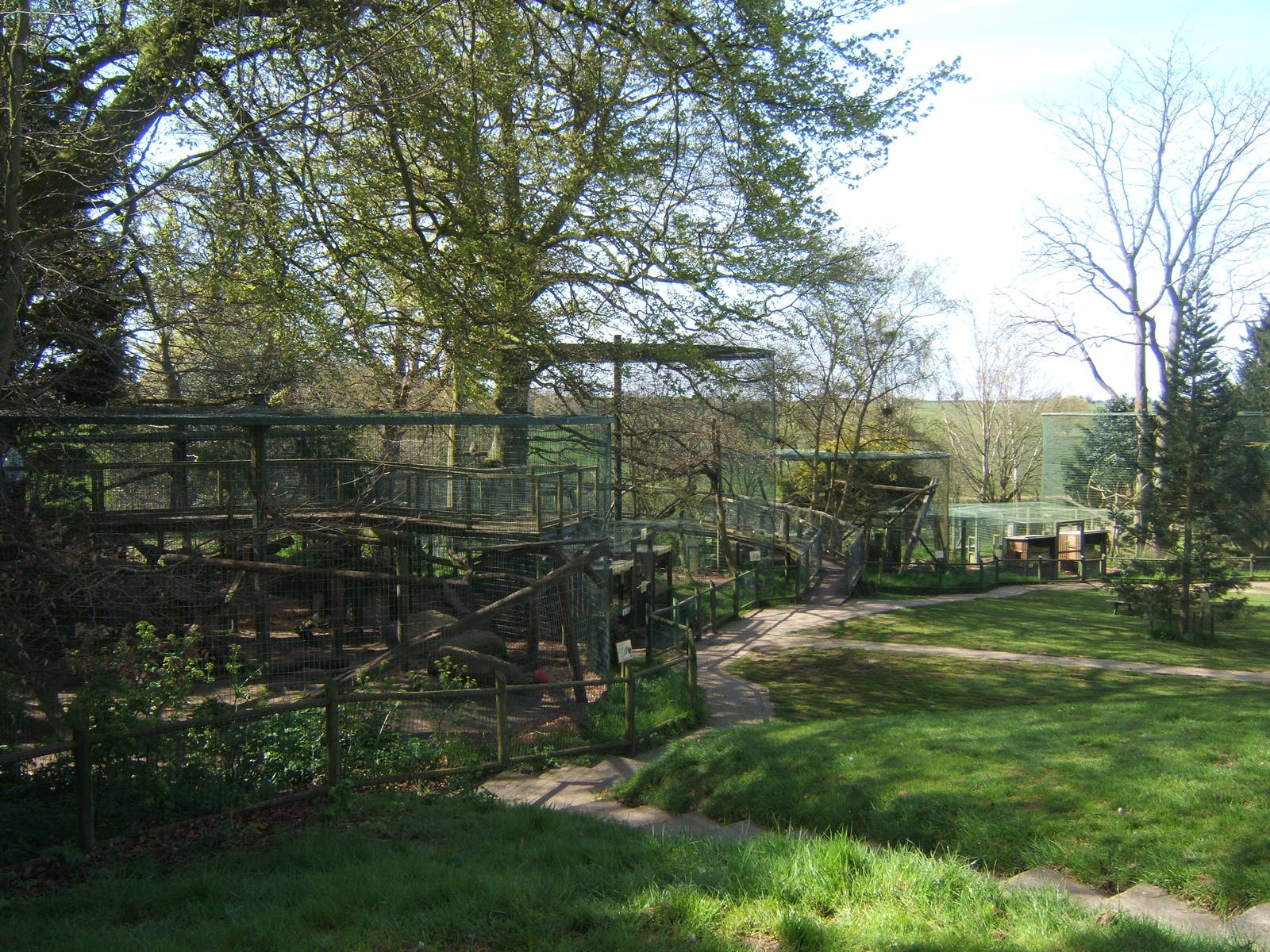View towards Snow and Amur Leopard enclosures