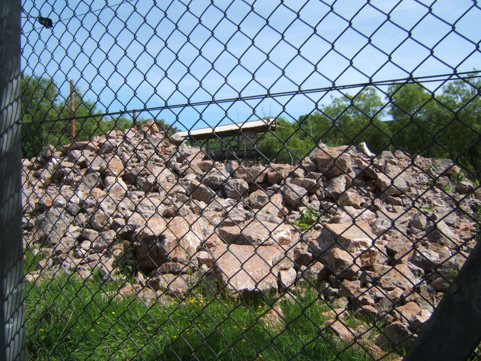 View towards Snow Leopard view balcony across the enclosure