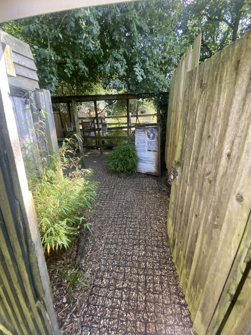 View towards South American tapir and Capybara enclosure 290723