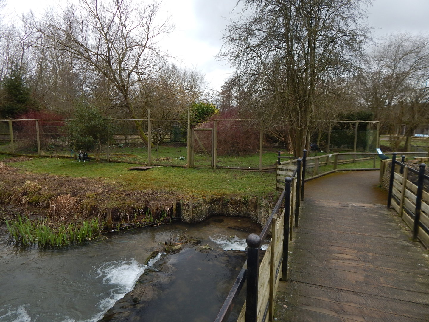 View towards Southern cassowary exhibit 010323