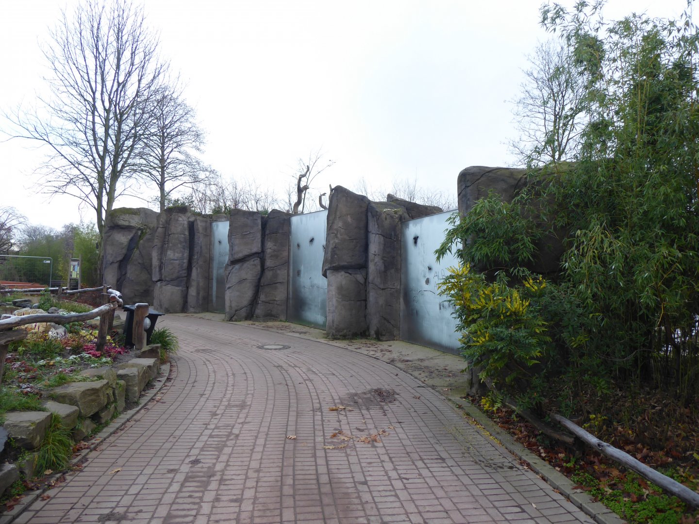 View towards Spectacled bear enclosure 011219