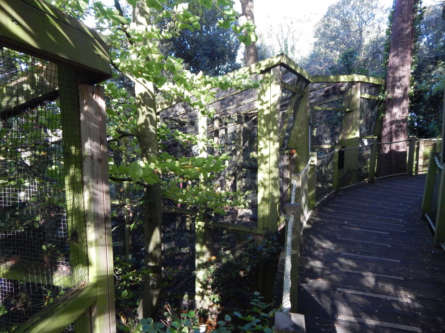 View towards Squirrel money enclosure 021120