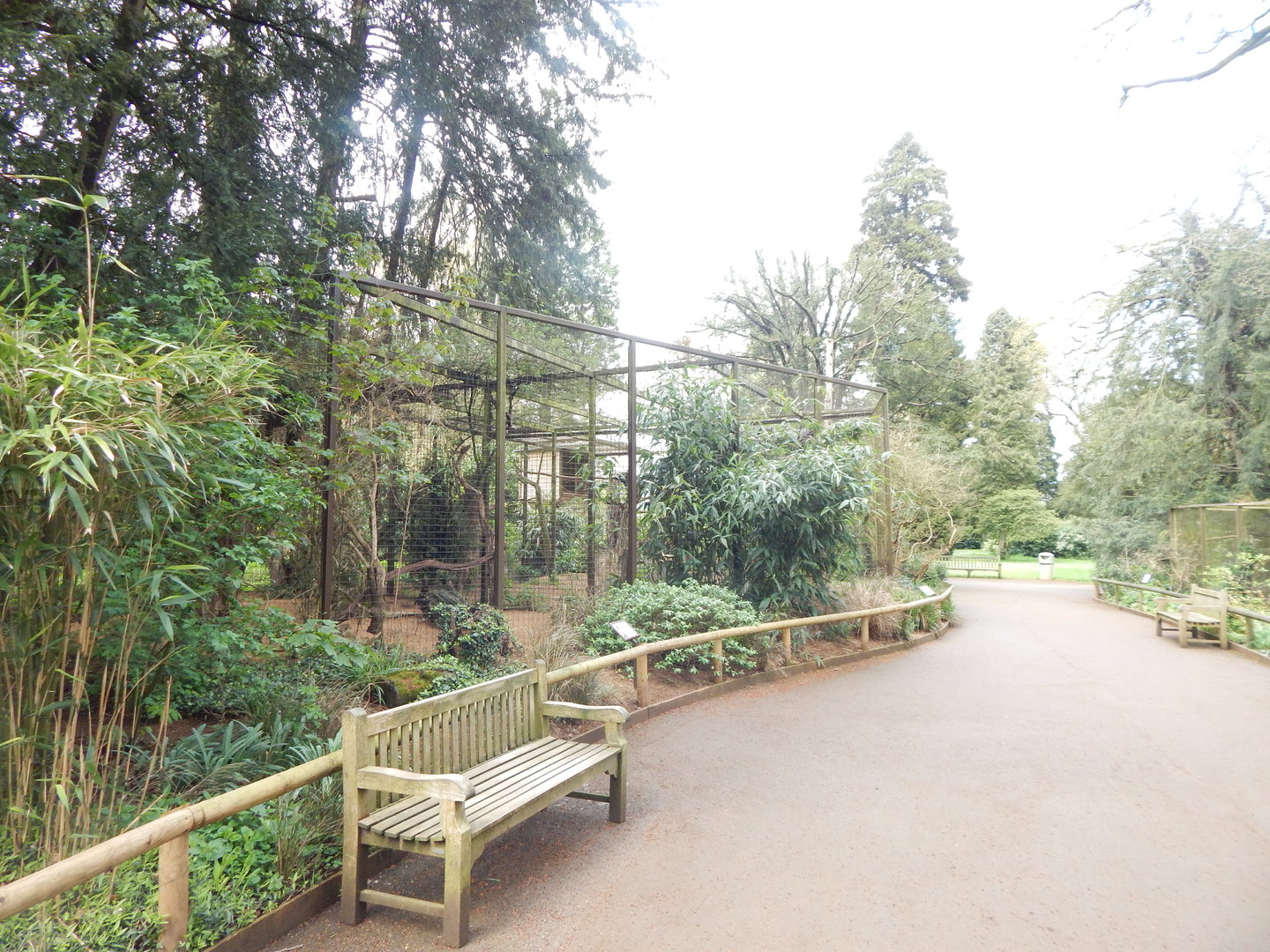 View towards Striated caracara aviary 280423
