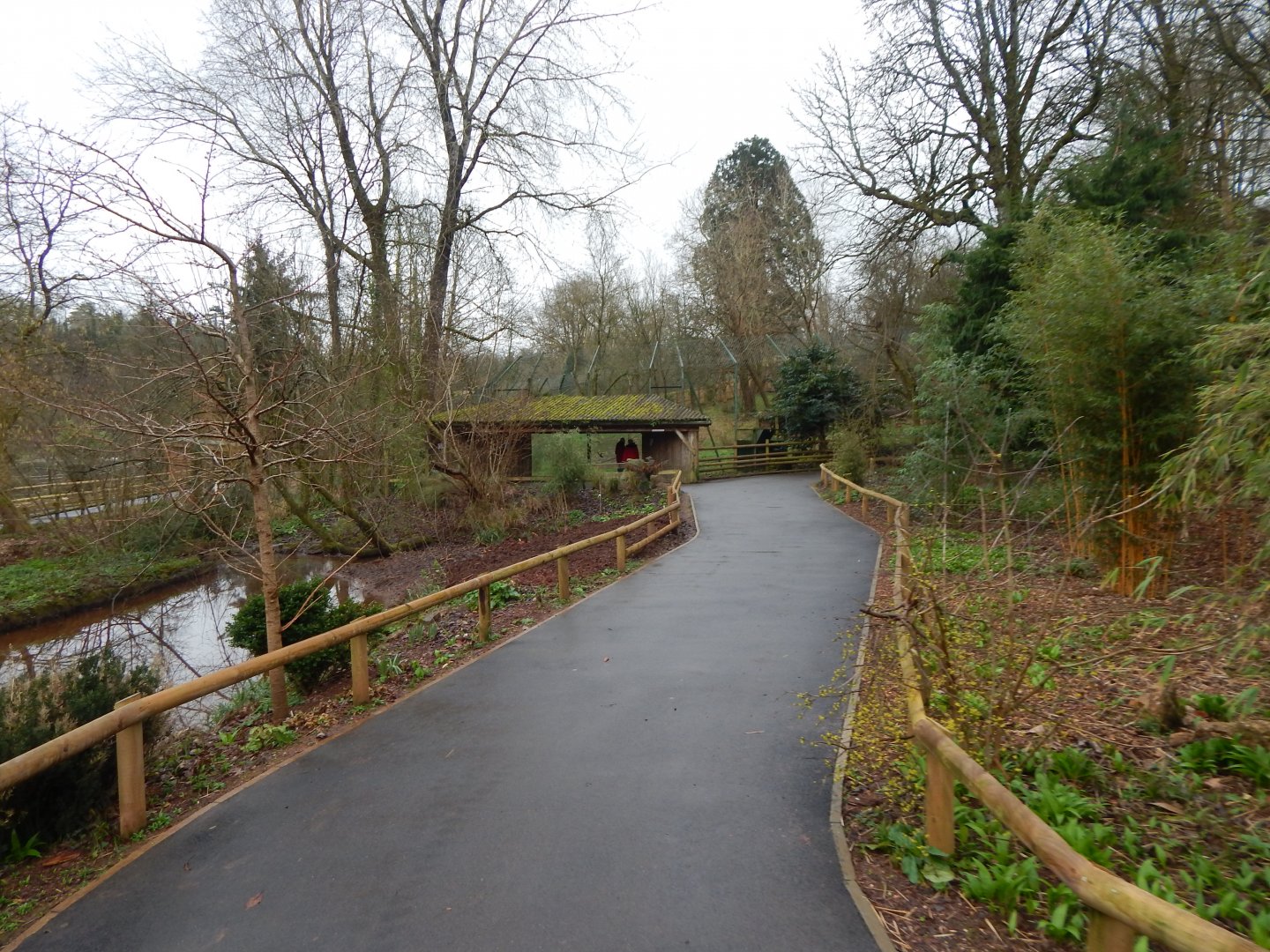View towards Sumatran tiger enclosure 050224